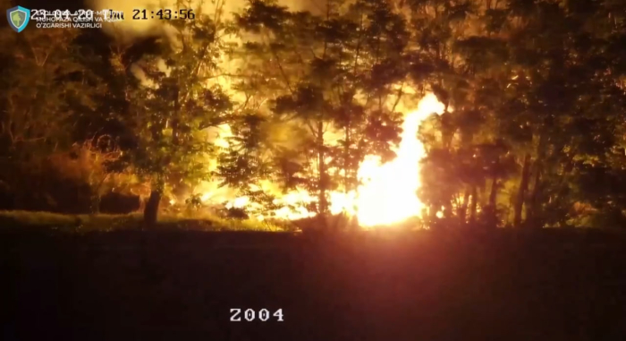 Piskentda chiqindilarni yoqib yuborgan huquqbuzar jarimaga tortildi