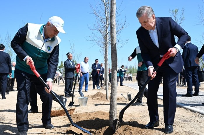 Шавкат Мирзиёев Миллий дендрология боғини барпо этишга старт берди