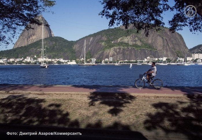 Braziliya qirg‘oqlarida yashovchi akulalar tanasidan kokain topildi