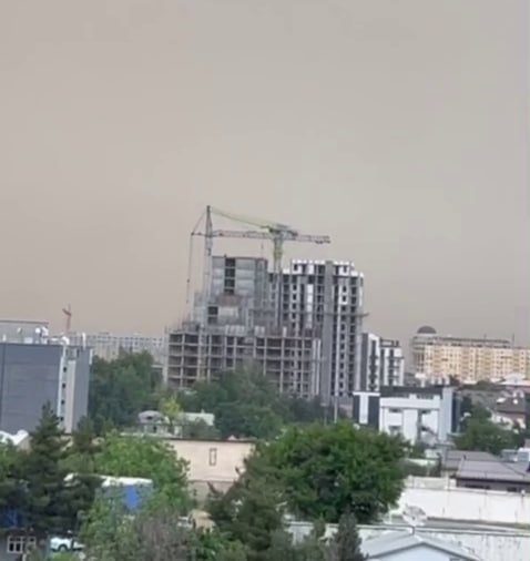 Ишга, ўқишга, харид учун кўчага чиққанда тиббий ниқоб тақиш ва ҳар 2 соатда алмаштириш зарур - Санепидқўмита