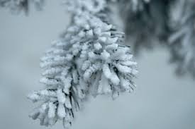 Феврал ойида кутилаётган тахминий об-ҳаво эълон қилинди