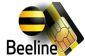 «Beeline Uzbekistan»ga yangi rahbar tayinlandi