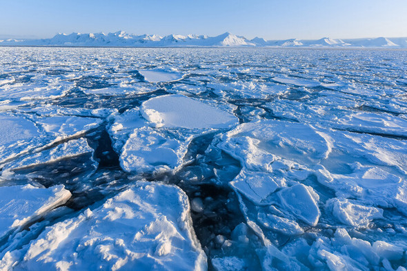 Arktika muzliklari bir necha hafta ichida erib ketishi mumkin