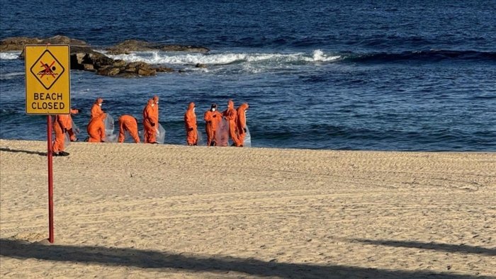 Sidneyda akulalar ikki bolaga hujum qildi