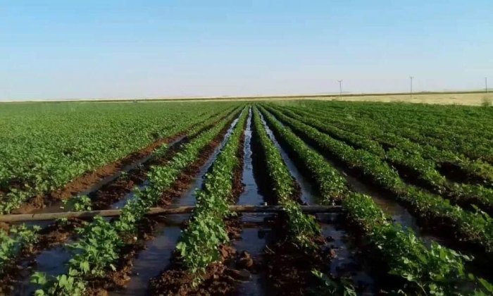 Ер муносабатлари қайта кўриб чиқилади