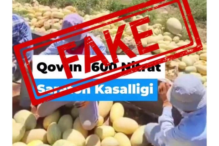 Surxondaryoda fuqarolar qovundan zaharlanayotgani rostmi?