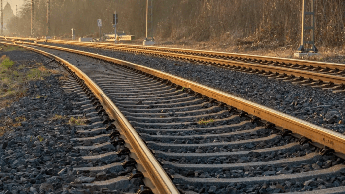 Xitoyda 11 nafar yo‘lsoz poyezd ostida halok bo‘ldi