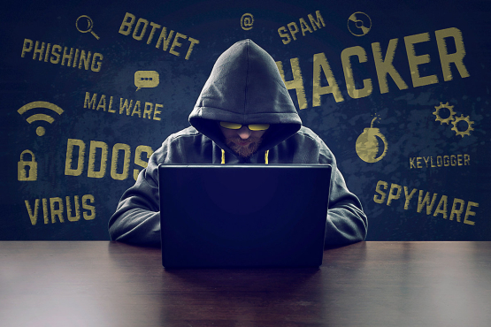 "Red Hacker Alliance" xakerlik guruhi