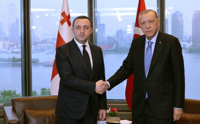 Irakliy Garibashvili Turkiya prezidenti bilan uchrashdi