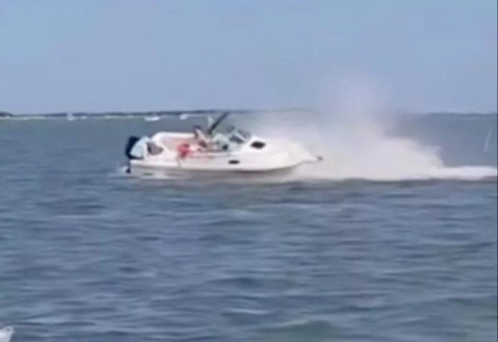 AQShda kit qayiq bilan to‘qnashib, nobud bo‘ldi