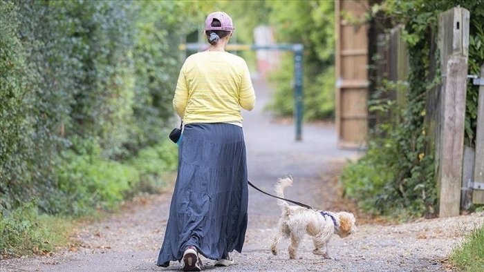 Belgiyadan tortib Latviyagacha: Yevropa mamlakatlarida "uysiz" hayvonlar bormi?