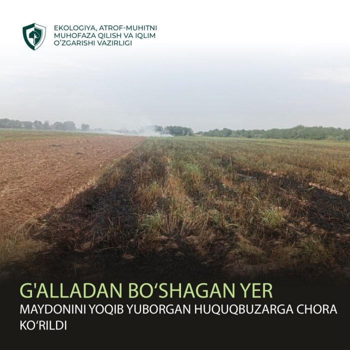 G‘alladan bo‘shagan yer maydonini yoqib yuborgan huquqbuzarga chora ko‘rildi