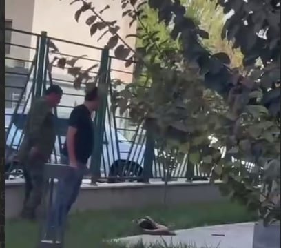 Yuqori qavatdan o‘zini va ikki nafar farzandini tashlagan ayol halok bo‘ldi, ikki o‘g‘ilning hayoti saqlab qolindi