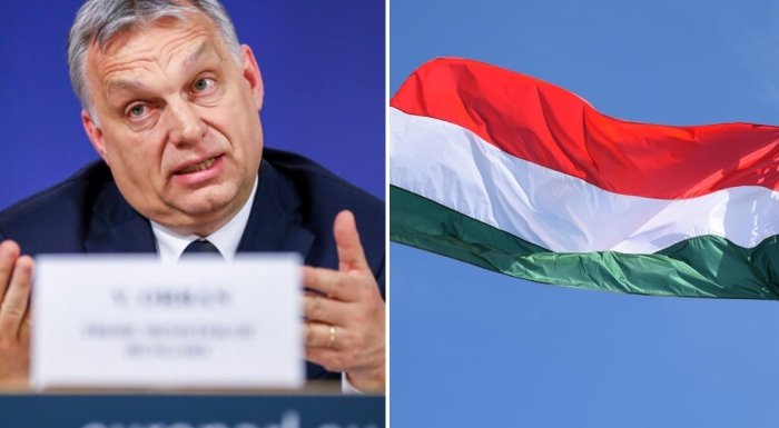 "Путин тинчликни хоҳлайди"