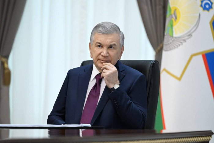 O‘zbekiston noyob mineral boyliklarini qanday ishga solmoqchi? Prezident yangi rejalarni ma’lum qildi!