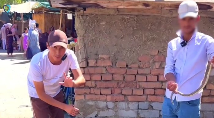 Фарғонада типратикан ва илонли шўрва пишираётганлар аниқланди. Ҳужжатлар судда