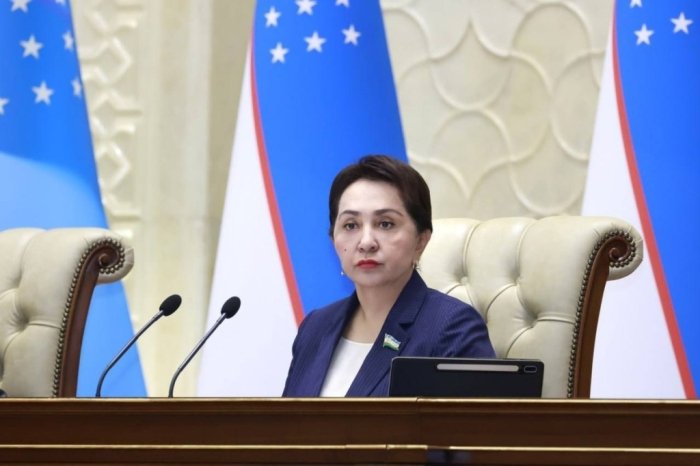 Senat Tanzila Norboyeva nomidan tarqalgani aytilgan xabarlarni rad etdi