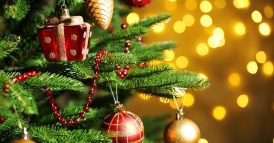 Жиззах ҳокими эълон қилган қарийб 1 млрд сўмлик тендерда ҳокимнинг қизи ютди