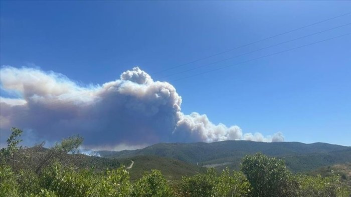 Suriyaning Lozkiye viloyatida o‘rmon yong‘inlari bilan kurash davom etmoqda