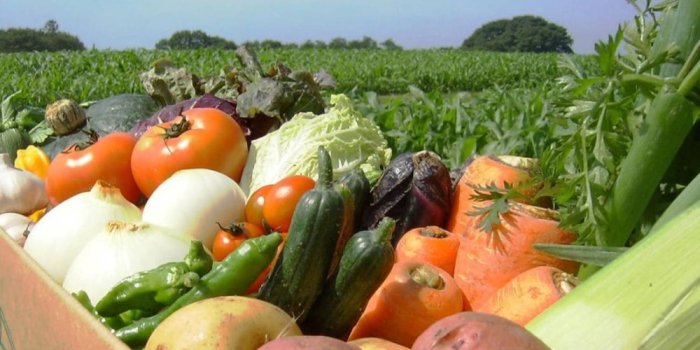 Agrar sektor zamonaviy qishloq xo‘jaligi texnikalari bilan ta’minlanadi