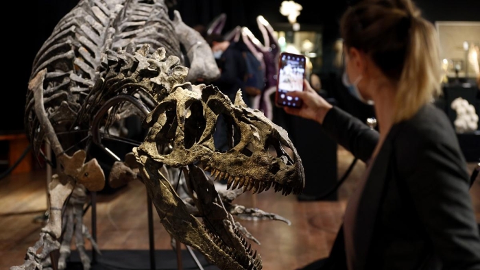6,65 миллион евро - Париждаги кимошди савдосида динозавр скелети сотувга қўйилди