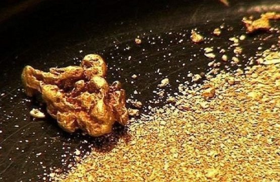 Oltin qazib olish mumkin bo‘lgan yerlar sotiladi