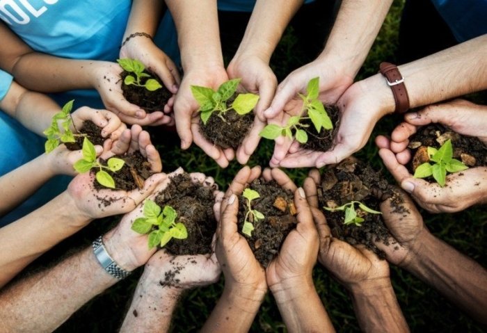 2030 yilgacha bo‘lgan davrda aholining ekologik madaniyatini yuksaltirish konsepsiyasi tasdiqlandi