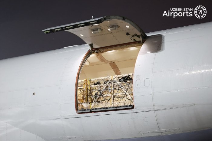 Белгиядан Тошкентга самолётда 93 тонна зотдор қорамоллар етказилди