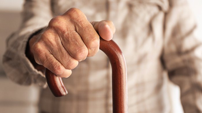 Pensionerlarga nima taqiqlandi?