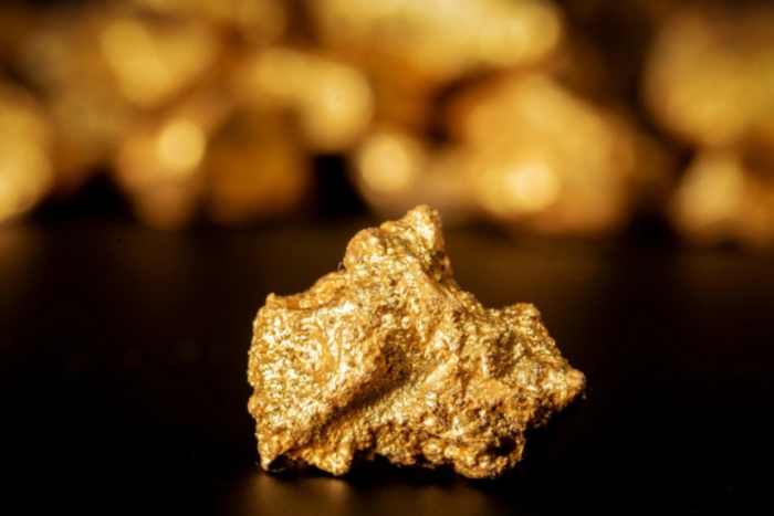 1440 tonna bo‘lgan eng yirik oltin konini topildi