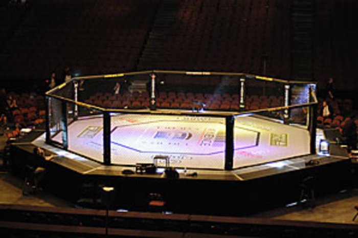 UFC турнири Мексикадан АҚШга кўчирилиши мумкин