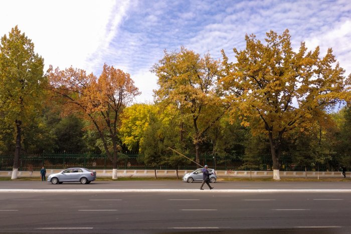 21 noyabr kuni bizni qanday ob-havo kutmoqda?