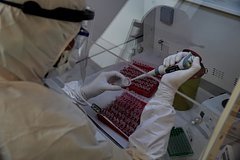 Келажакдаги фалокат сабаби сифатида янги вирус номланди