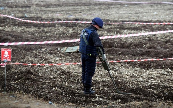 Yaponiya va Kambodja Ukrainadagi minalardan tozalashda yordam beradi