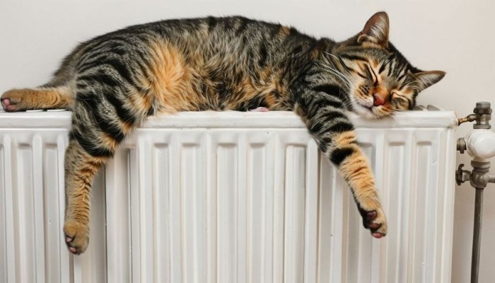 «Otopleniye» qachondandan yoqiladi?