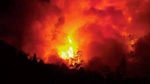 Argentinada yirik o‘rmon yong‘inlari boshlandi