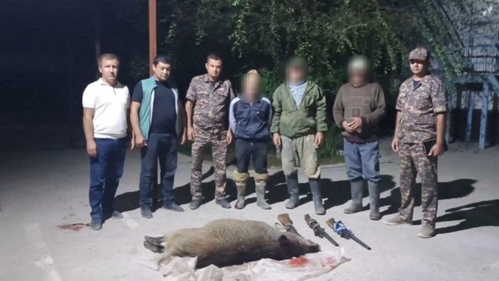 Gulistonda noqonuniy to‘ng‘iz ovlaganlar qo‘lga olindi