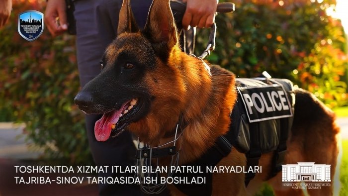 Jamoat joylarida xizmat itlari patrul ishlarini boshladi