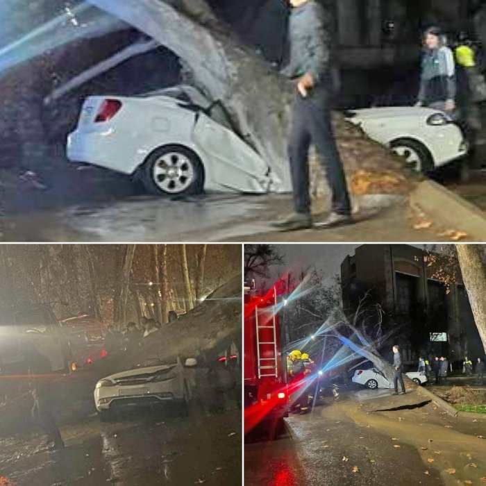 FVV kuchli shamol va yog‘ingarchilik haqida ogohlantirdi