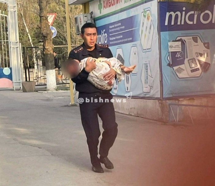 Бишкекда 6 ёшли болани итлар талади