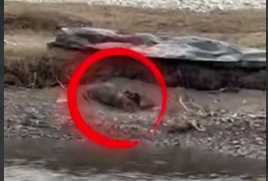 Жасад 80 кундан сўнг топилди