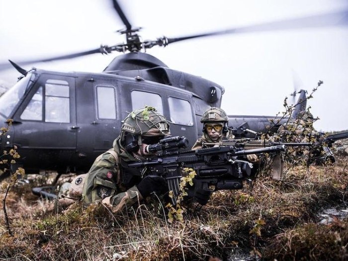 Европа Гренландияни ҳимоя қилишга киришди