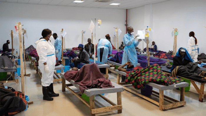Afrikaning 23 mamlakatida vabo epidemik o‘choqlari aniqlandi