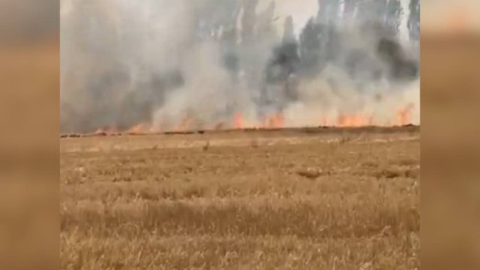 Andijondagi g‘alladan bo‘shagan yer maydonida yong‘in sodir bo‘ldi