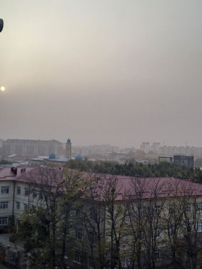 Тошкент шаҳар ҳокимлиги аҳолини кучли шамол ҳақида огоҳлантирди