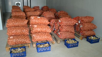 Олтинкўлда 100 тонна картошка уруғини сақлайдиган музлатгич-омборхона ишга тушди