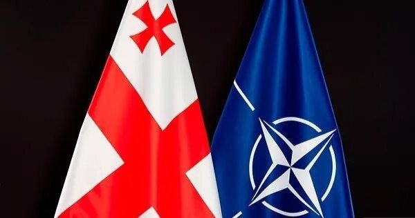 DW: Gruziyada NATO davlatlari ishtirokida harbiy mashg‘ulotlar o‘tkazilmoqda