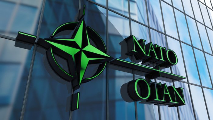 NATO parlament assambleyasida Ukraina delegasiyasi a’zosi kutib olishdan shikoyat qildi