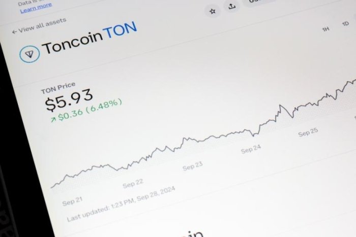 Toncoin криптовалютаси эгалари учун БААда “олтин визалар” дастури эълон қилинди