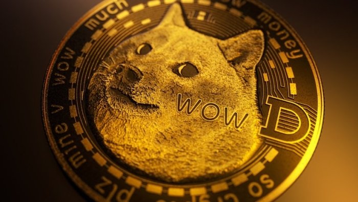  Dogecoin? Frogcoin? 50 milliard dollarlik kripto hazillari